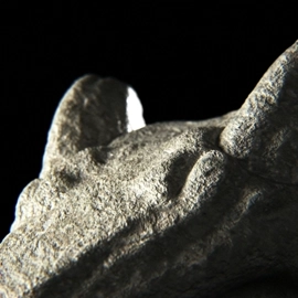 210302_MardiniDay02_Grow_Final_webp